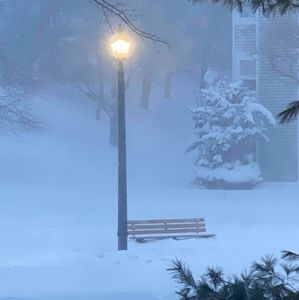 Meet your Posher, Elyze